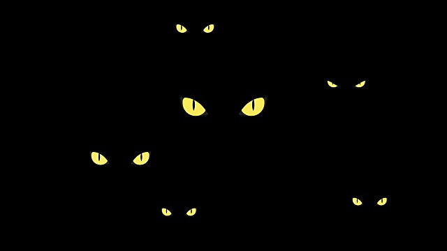 危险的黄色野猫眼睛在黑暗中视频素材画面2
