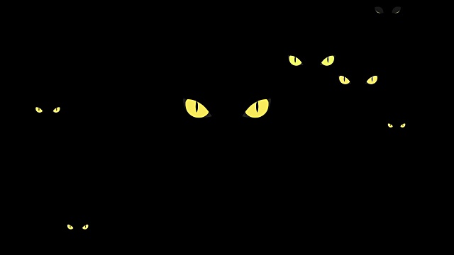危险的黄色野猫眼睛在黑暗中视频素材画面3