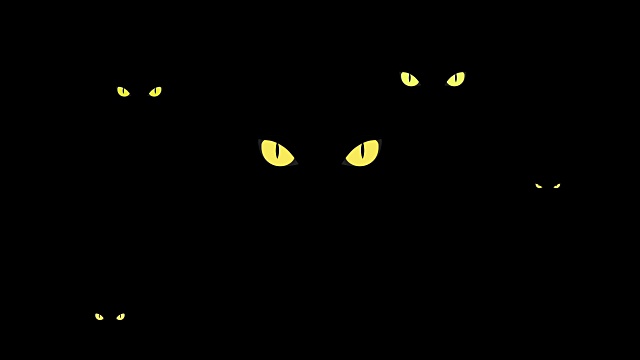 危险的黄色野猫眼睛在黑暗中视频素材画面4