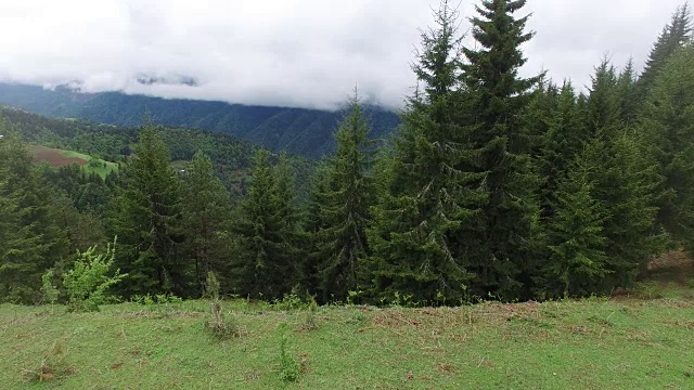 雷雨过后飞过山谷视频素材