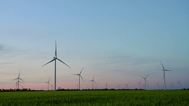 一群群为发电而建的风车在绿色的麦田里夕阳西下视频素材