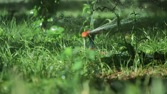 用喷水器浇灌草地视频素材