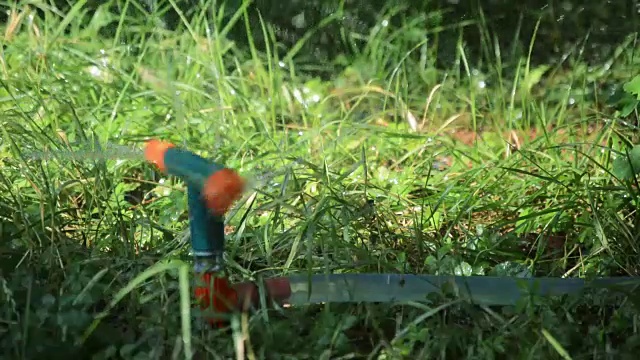 用喷水器浇灌草地视频素材