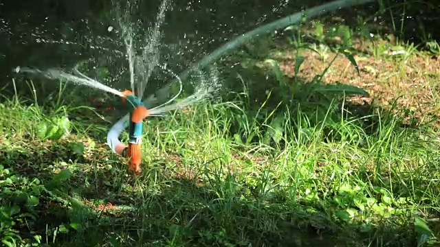 用喷水器浇灌草地视频素材