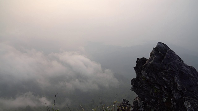 在泰国清莱的Doi Pha Tang，自然和旅游的概念，在日出时间的雾在森林深处的4K镜头特写视频素材