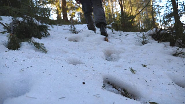 清晨，一个面目全非的人走在雪山森林里。年轻的徒步旅行者在冬天的雪坡上爬山。健康积极的生活方式。旅行或旅行的概念。后视图慢动作低角度视图视频素材