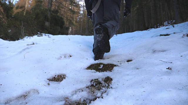 后视图，不认识的家伙爬上雪坡与松树林的背景。年轻的徒步旅行者在雪山上徒步旅行，享受冬季旅行。健康积极的生活方式。慢动作视频素材