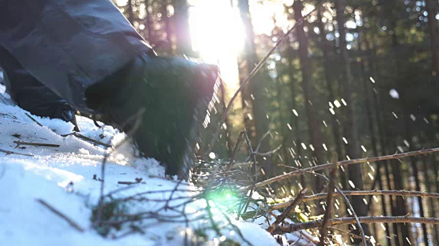 在阳光明媚的日子里，年轻的徒步者的脚爬上了高山松林里的雪山。一个不认识的男人在雪坡上徒步旅行，背景是阳光。健康积极的生活方式。特写慢动作视频素材