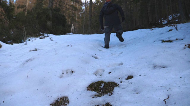 一个年轻人在雪山上徒步旅行，背景是松树林。一个面目全非的家伙爬上雪坡，享受冬季旅行。健康积极的生活方式。后视图慢动作视频素材