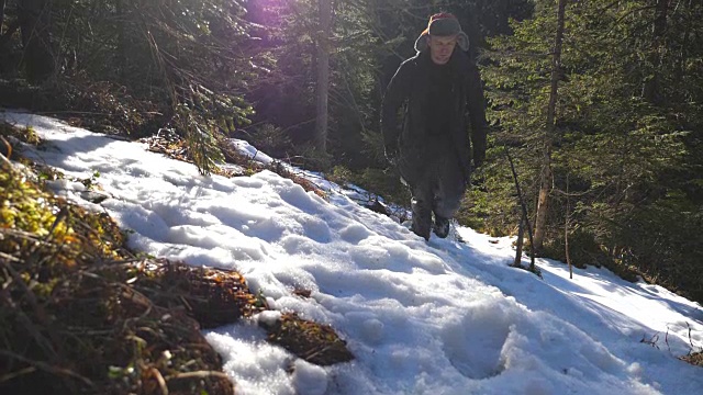 低角度的年轻的徒步旅行者走向相机在雪山松树林。一个在雪坡上远足的家伙。美丽的风景作为背景。假期的概念。慢动作视频素材