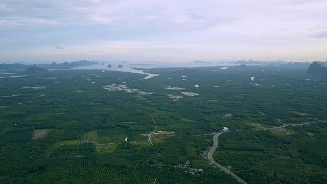 棕榈油种植园和安达曼海岸视频素材