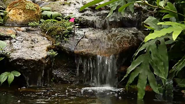 池塘和瀑布在花园里，泰国清迈视频素材