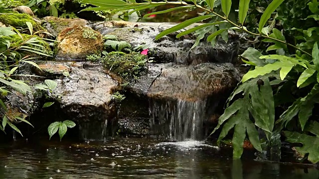 池塘和瀑布在花园里，泰国清迈视频素材