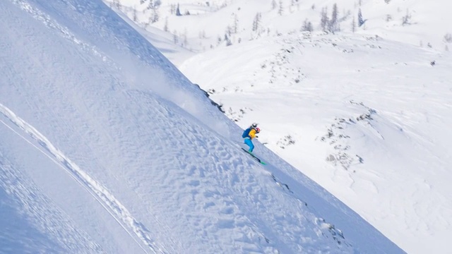 野外滑雪视频素材