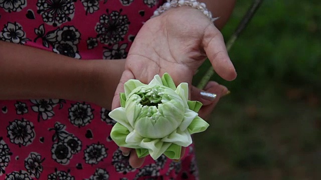 女人叠莲花是为了拜佛视频素材