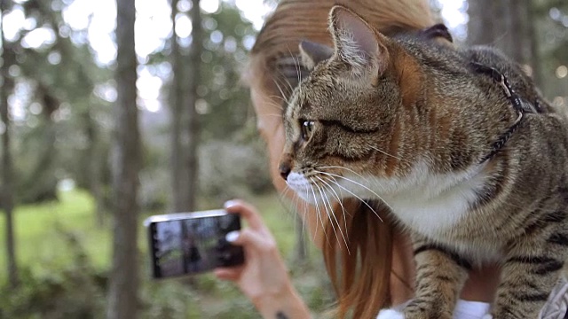 Selfy。一个女孩和一只猫在自拍视频素材