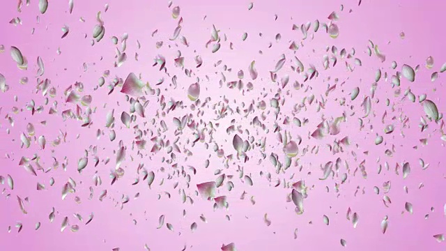 睡莲花瓣飞舞。视频素材画面2