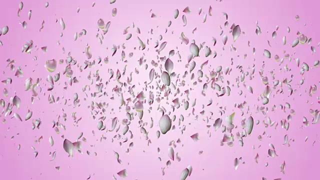 睡莲花瓣飞舞。视频素材画面4