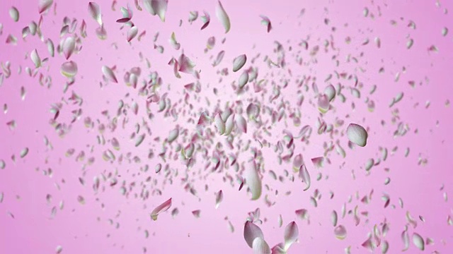 睡莲花瓣飞舞。视频素材画面1