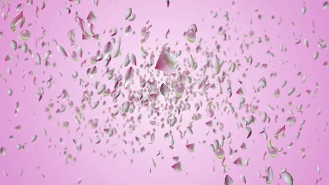 睡莲花瓣飞舞。视频素材画面2