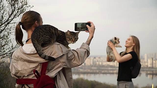 减少辊。带着猫和狗的女孩们在公园里散步，在电话里互相射击视频素材