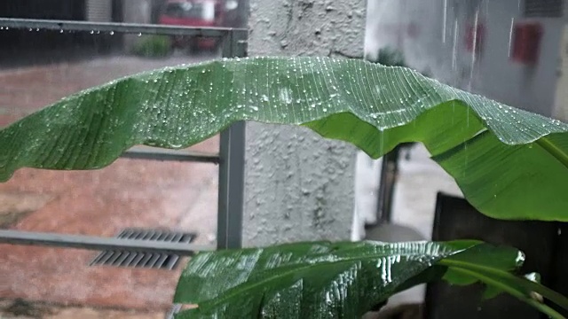 马来西亚吉隆坡的季风季节视频素材