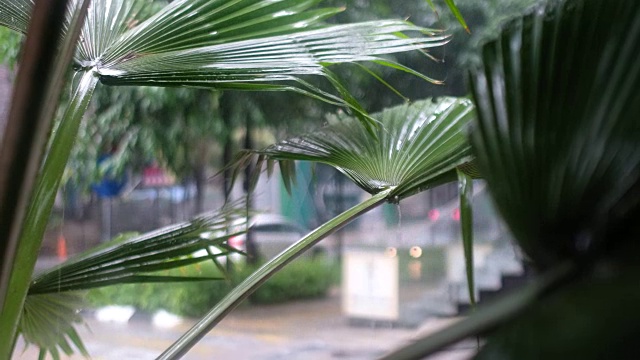 马来西亚吉隆坡的季风季节视频素材