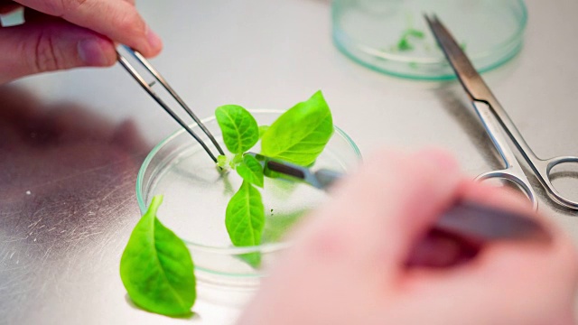 生物技术实验室科学家视频素材画面2