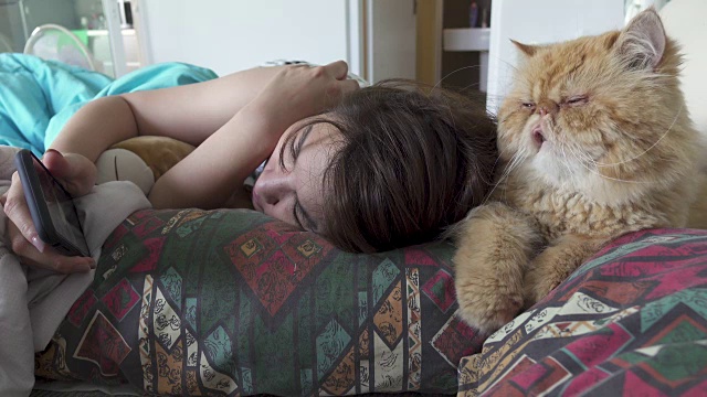 一个女人在床上和她的胖猫玩手机视频素材