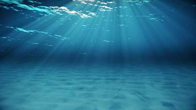 水下摄影视频素材画面1
