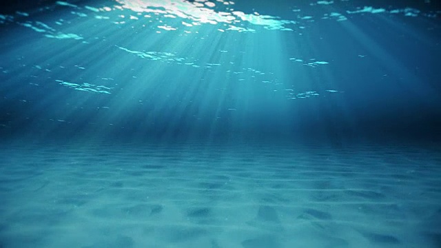 水下摄影视频素材画面2