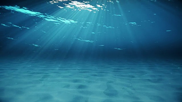 水下摄影视频素材画面3