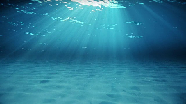 水下摄影视频素材画面4