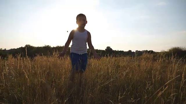 正面的观点，快乐的小男孩跑在田野与太阳耀斑在背景。微笑的男孩有乐趣在一个夏天的草地上的自然。日落时分，孩子在户外慢跑。慢镜头视频素材