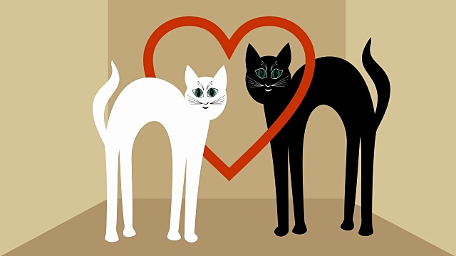 猫在爱。白猫和黑猫互相接近，红心视频素材画面1
