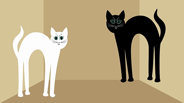 猫在爱。白猫和黑猫互相接近，红心视频素材画面2