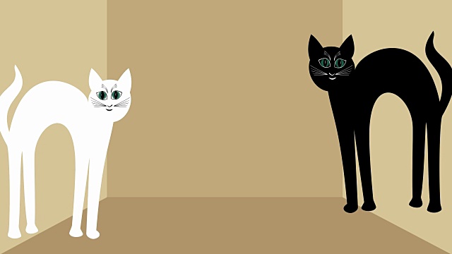 猫在爱。白猫和黑猫互相接近，红心视频素材画面3