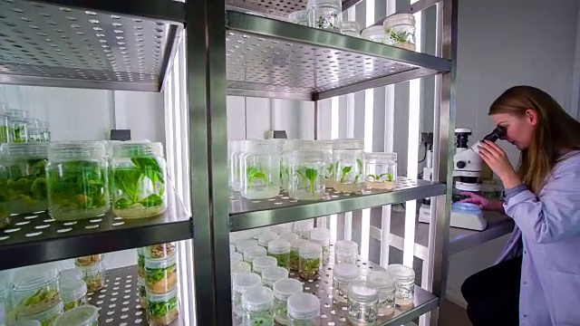 生物技术实验室科学家视频素材画面1