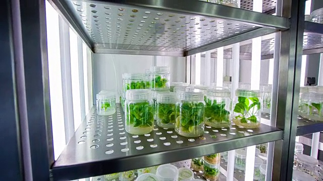 生物技术实验室科学家视频素材画面2
