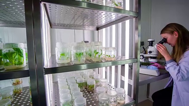 生物技术实验室科学家视频素材画面3