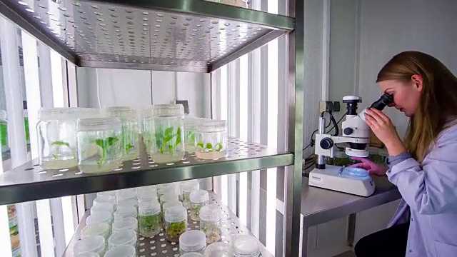 生物技术实验室科学家视频素材画面4