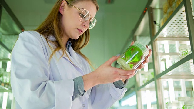 生物技术实验室科学家视频素材画面1