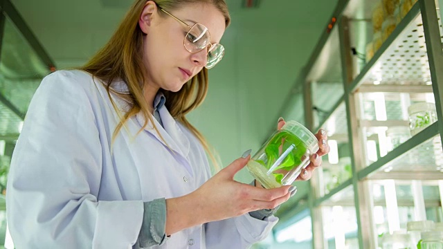 生物技术实验室科学家视频素材画面2