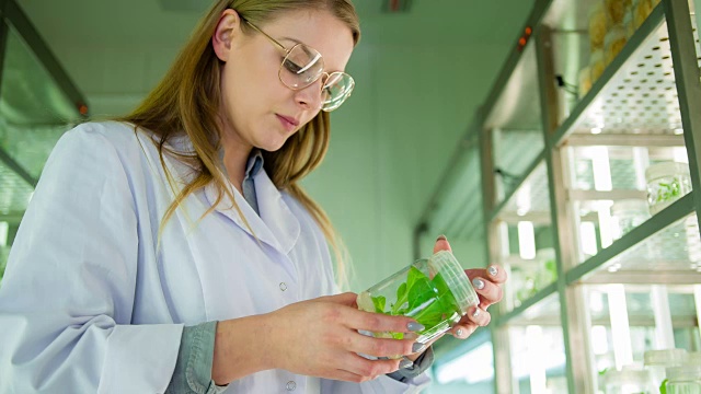 生物技术实验室科学家视频素材画面3
