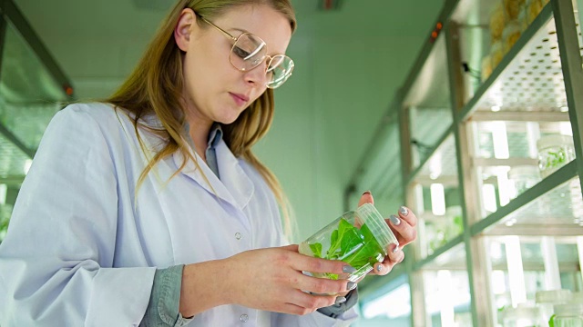 生物技术实验室科学家视频素材画面4