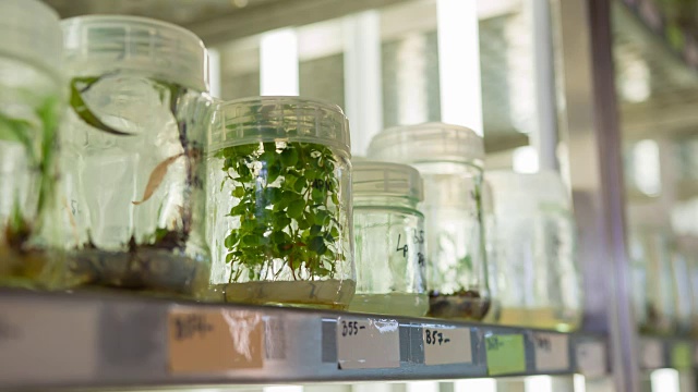 生物技术实验室科学家视频素材画面2