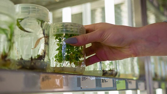 生物技术实验室科学家视频素材画面3