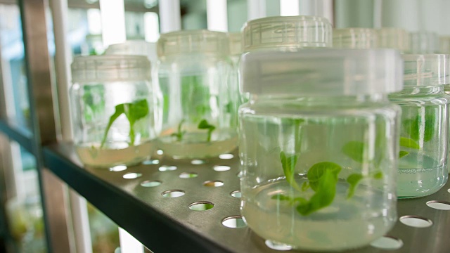 生物技术实验室科学家视频素材画面3