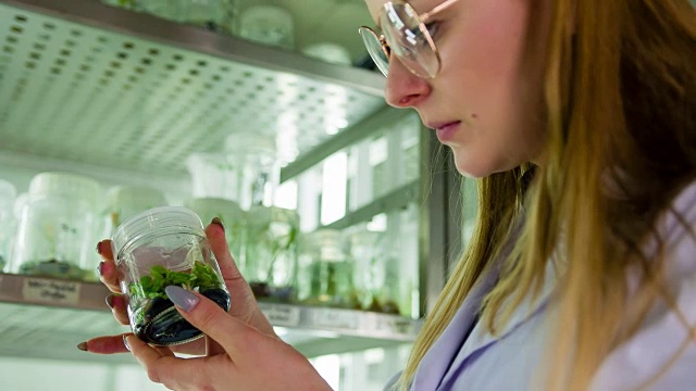 生物技术实验室科学家视频素材画面1