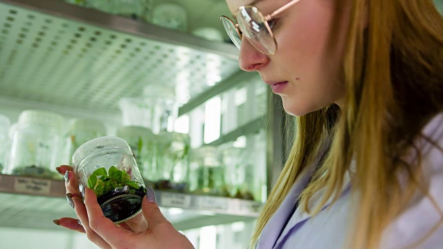 生物技术实验室科学家视频素材画面2